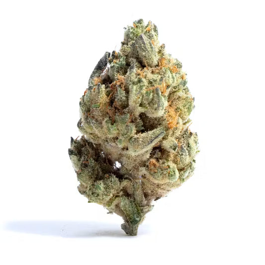 BAY BULK - CROSTADA (HYBRID) HIGH THCa HEMP FLOWER 7GM / BAG